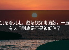 别急着划走，蘑菇视频电脑版，一直有人问到底是不是被低估了